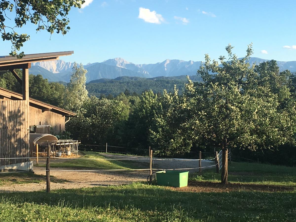 Apartament Kollehof Krumpendorf Zewnętrze zdjęcie